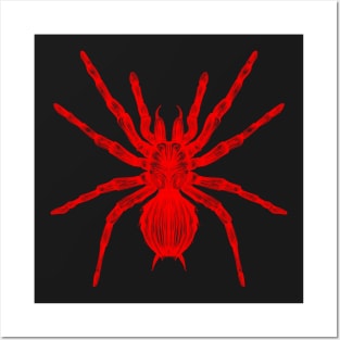 Red Spider Posters and Art